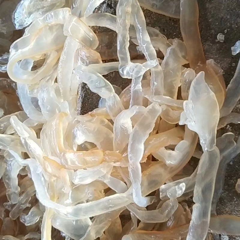 大量供应批发酒店食商超团购福利渤海湾捕捞海蜇丝海蜇头
