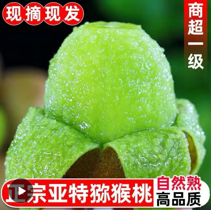 亚特猕猴桃，产地发货，量大价优，质量保证，欢迎进店