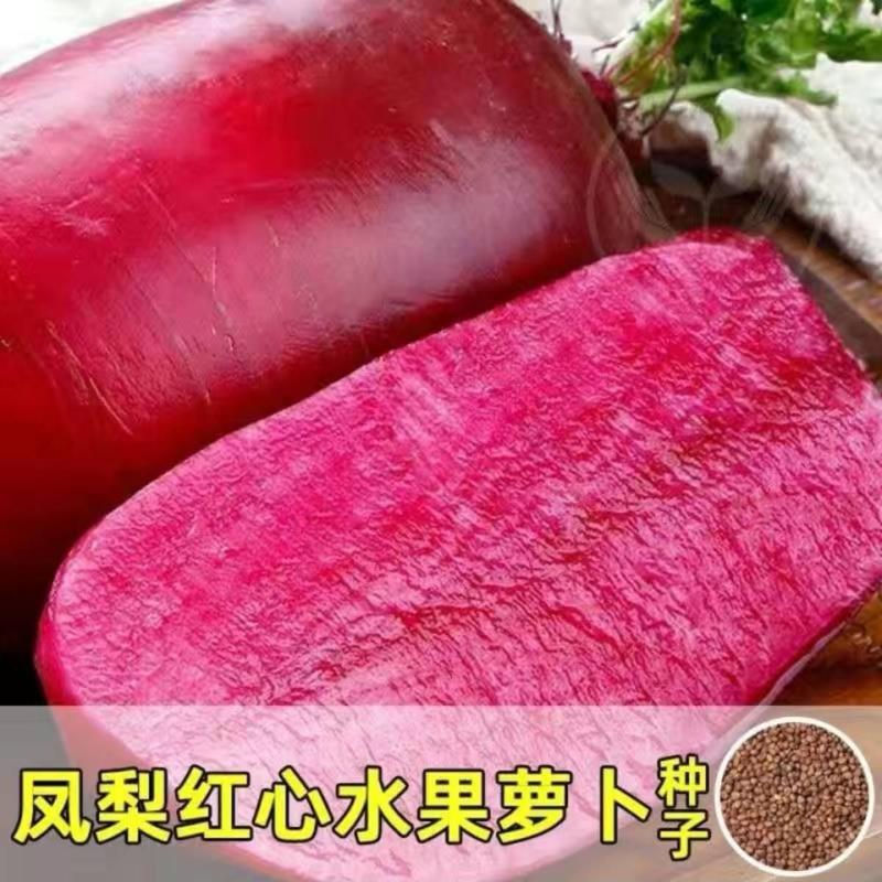 凤梨红心水果萝卜种子高产生吃红心脆心里美四季春秋夏季蔬菜