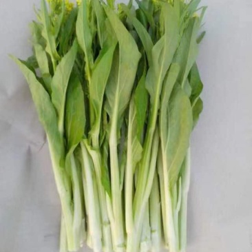 白菜芯，菜苔，菜心产地**农副产品