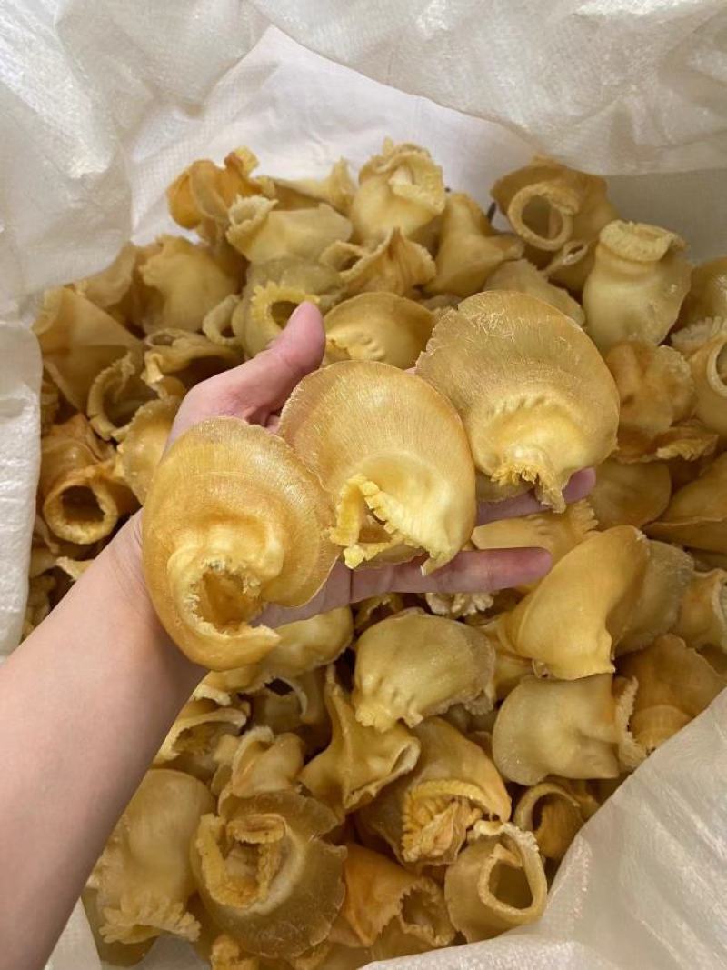 金钩鲍翅鱼翅翅针，其实挺多的，口感胶质很好，有针有胶