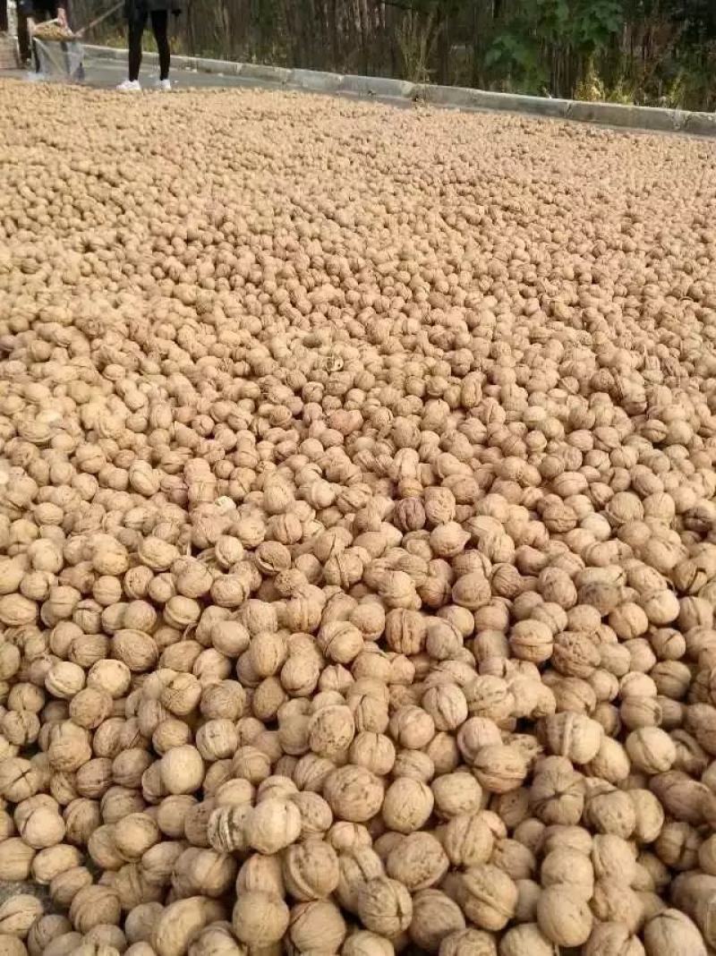 核桃