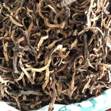 干货骨碎补
