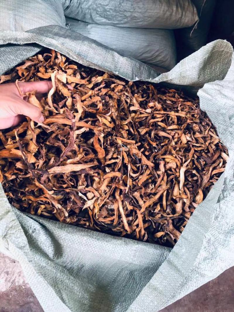 干货骨碎补