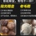 海南老椰皇椰子鸡香榨汁孕妇饮料老椰皇抛光炖盅黑椰子网红椰