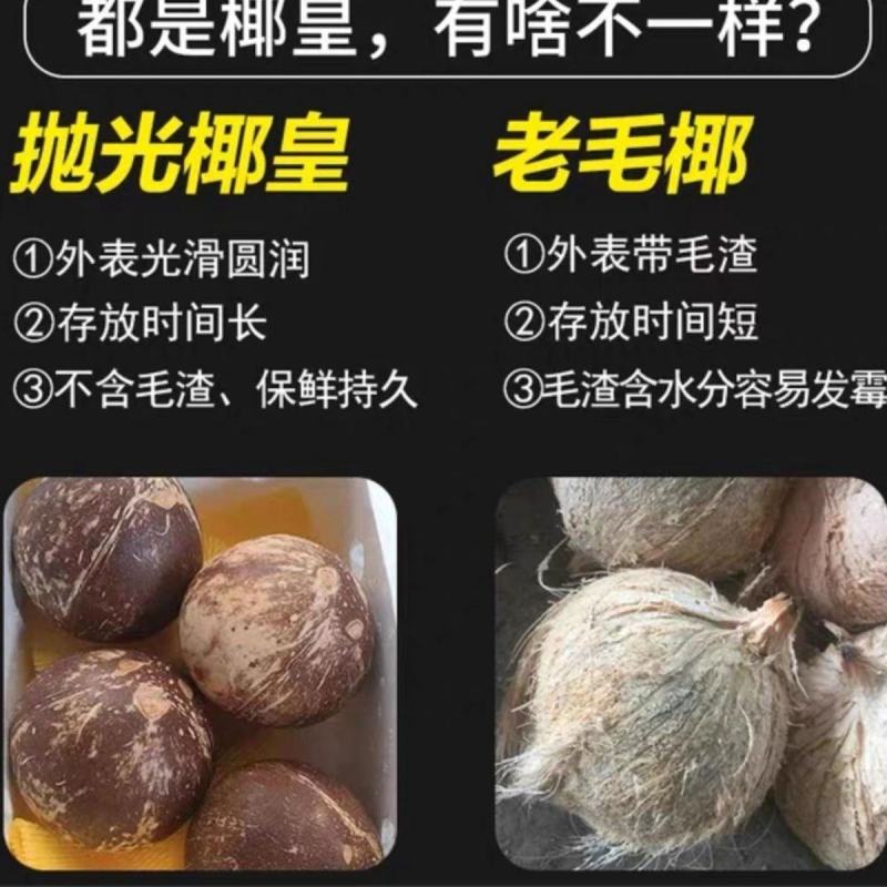 海南老椰皇椰子鸡香榨汁孕妇饮料老椰皇抛光炖盅黑椰子网红椰