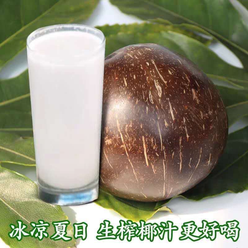 海南老椰皇椰子鸡香榨汁孕妇饮料老椰皇抛光炖盅黑椰子网红椰
