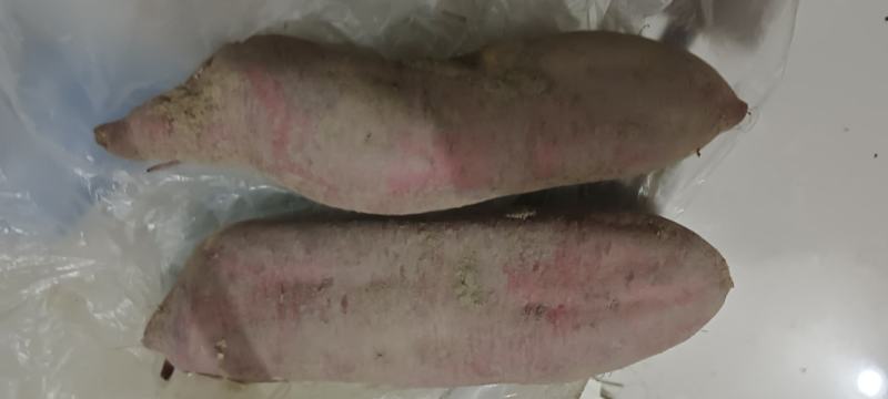 大理红薯