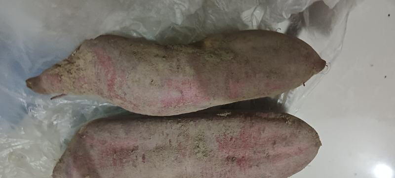 大理红薯