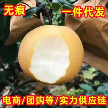 电商团购莱阳秋月梨脆甜爆汁抖音快团团天猫淘宝无痕一件代发