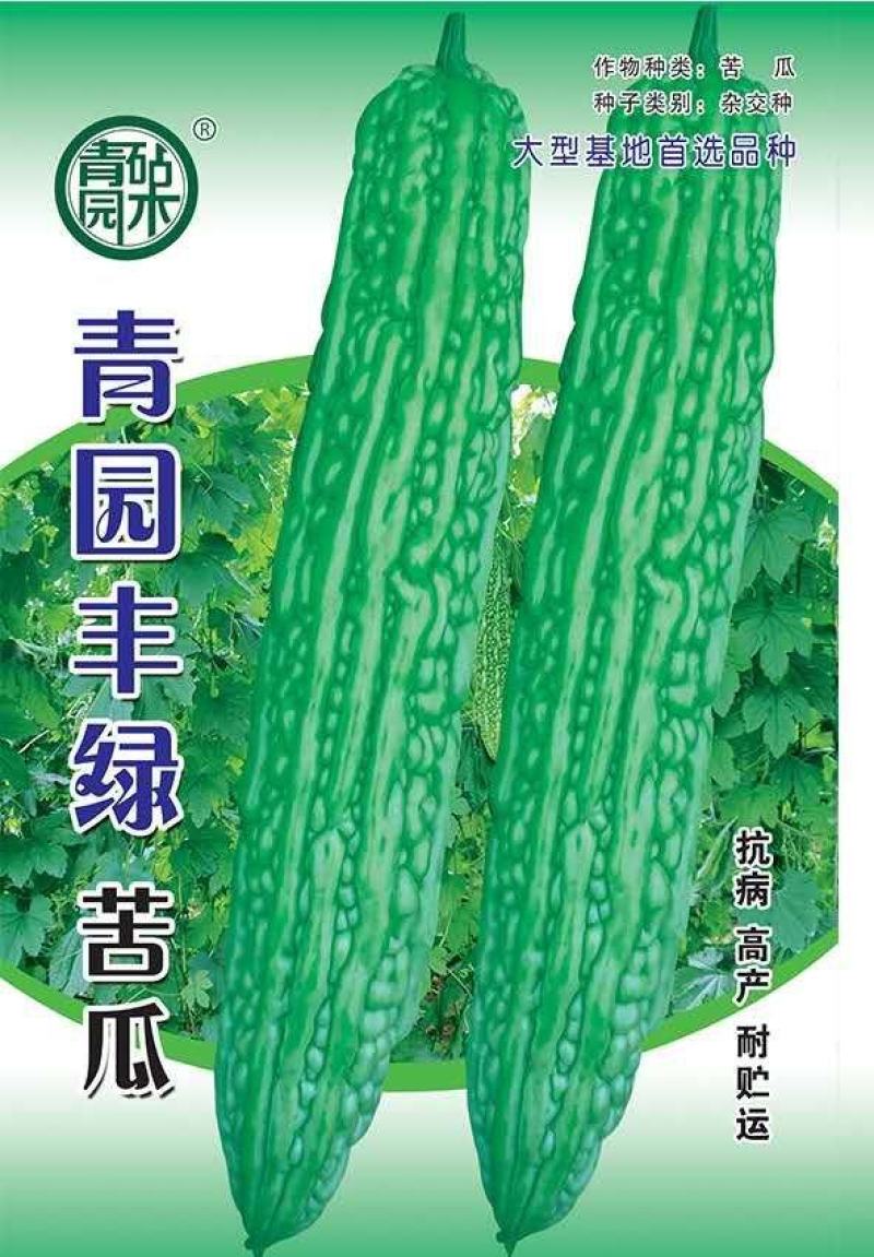 苦瓜种子杂交苦瓜种子翠绿苦瓜种子抗病能力强肉厚味正大棚陆