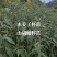 #木姜子杯苗#山胡椒杯苗#数量仅有五千株左右，质量很好！