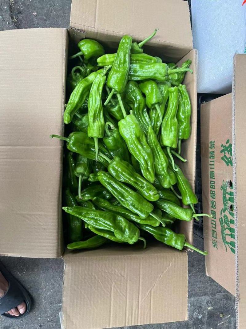 金优基地货需要联系