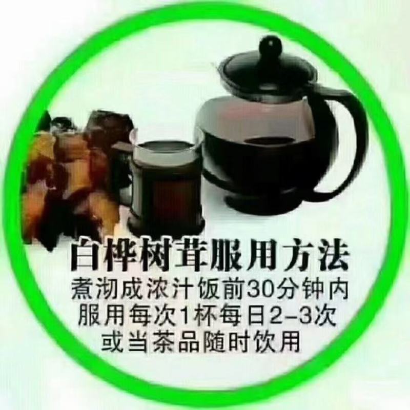 桦树茸——又名白桦茸，产地直发，保证质量