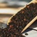 桦树茸——又名白桦茸，产地直发，保证质量