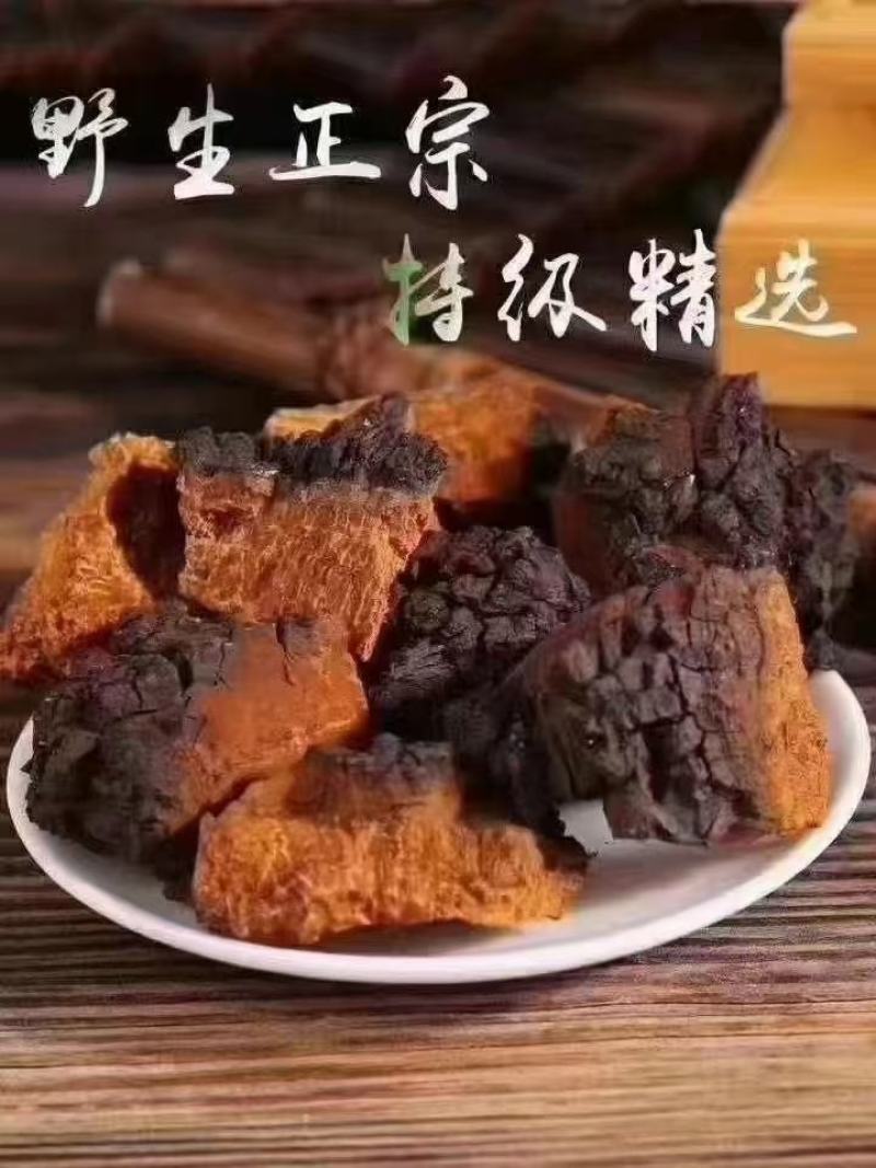 桦树茸——又名白桦茸，产地直发，保证质量