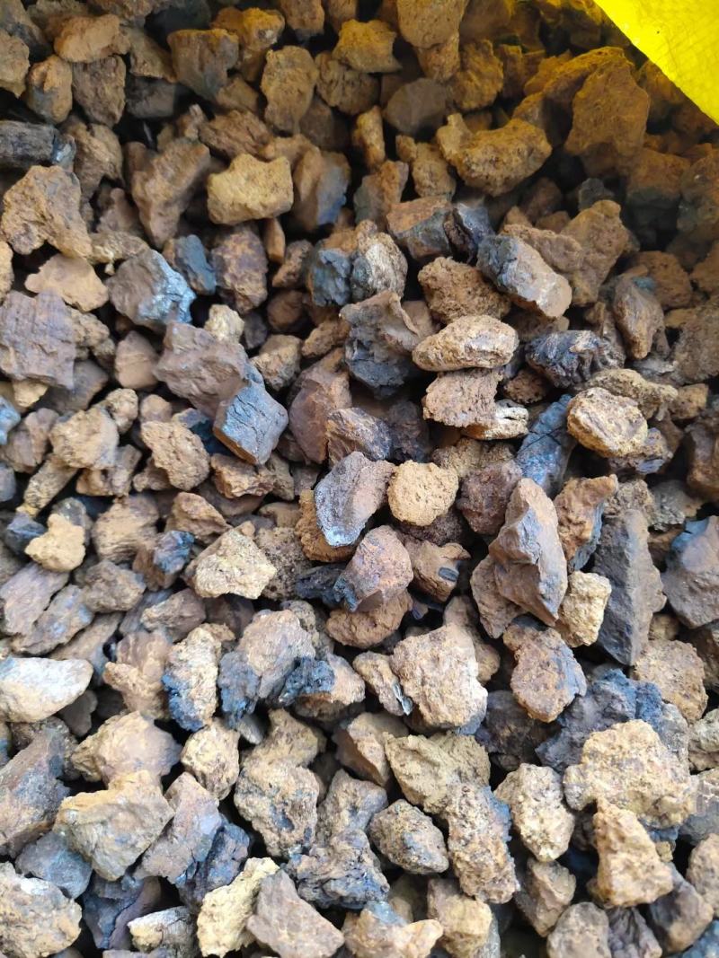 桦树茸——又名白桦茸，产地直发，保证质量