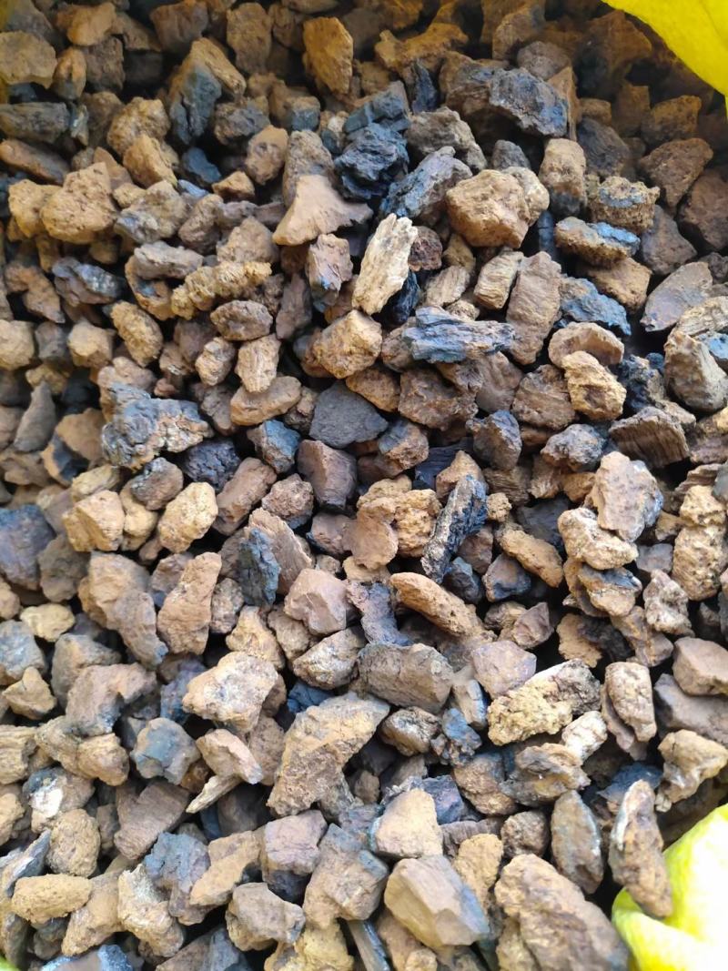 桦树茸——又名白桦茸，产地直发，保证质量