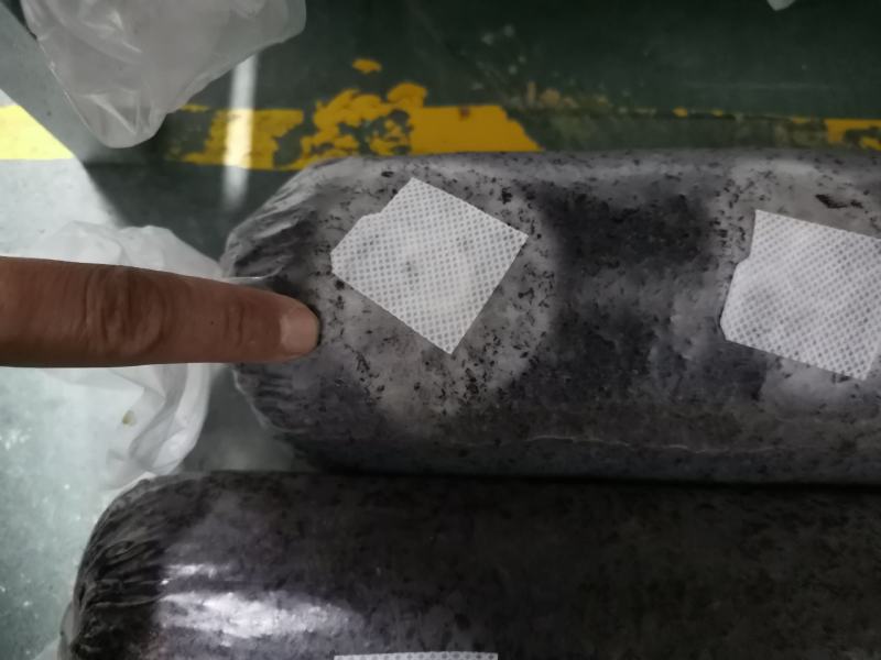 云南大理食用菌栽培，金耳菌棒，羊肚菌菌种，营养袋生产销售
