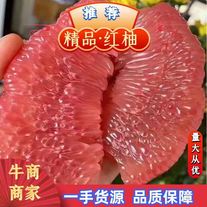 红肉蜜柚口感好/产地直发/湖北蜜柚/对接电商各级市场