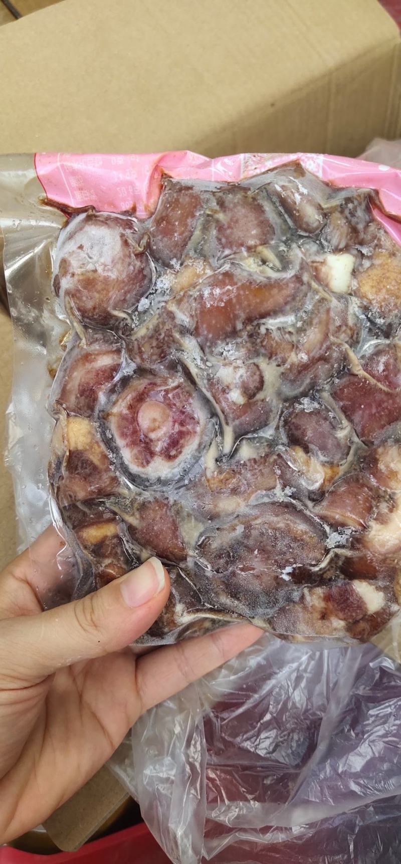 猪尾巴现货供应批发价格美丽