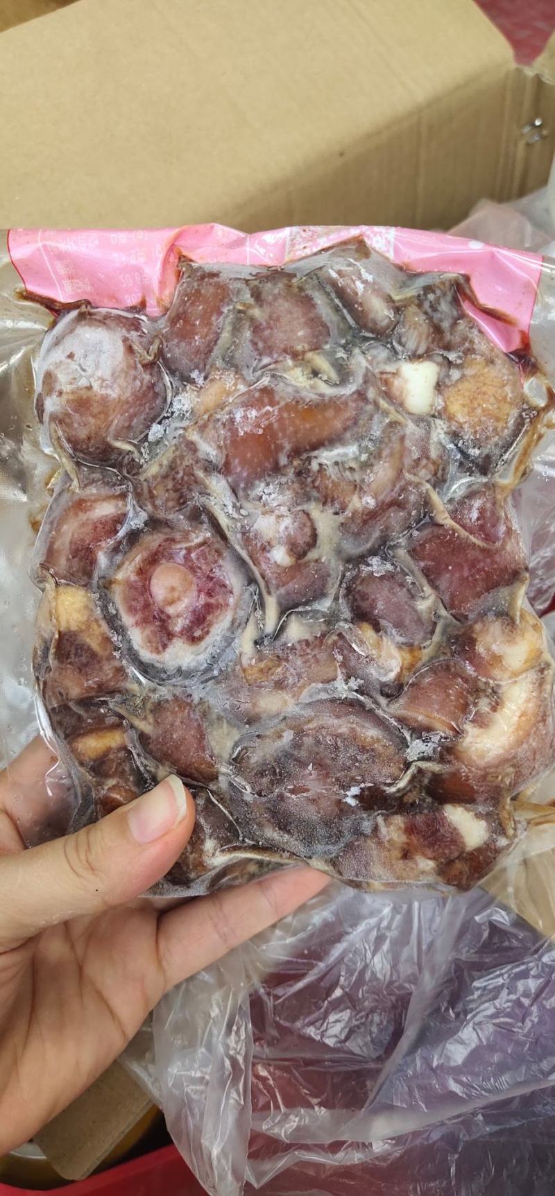 猪尾巴现货供应批发价格美丽