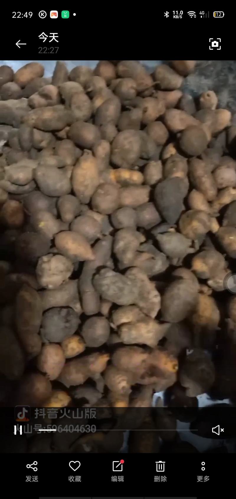 金果揽苗，地苦胆苗，块经