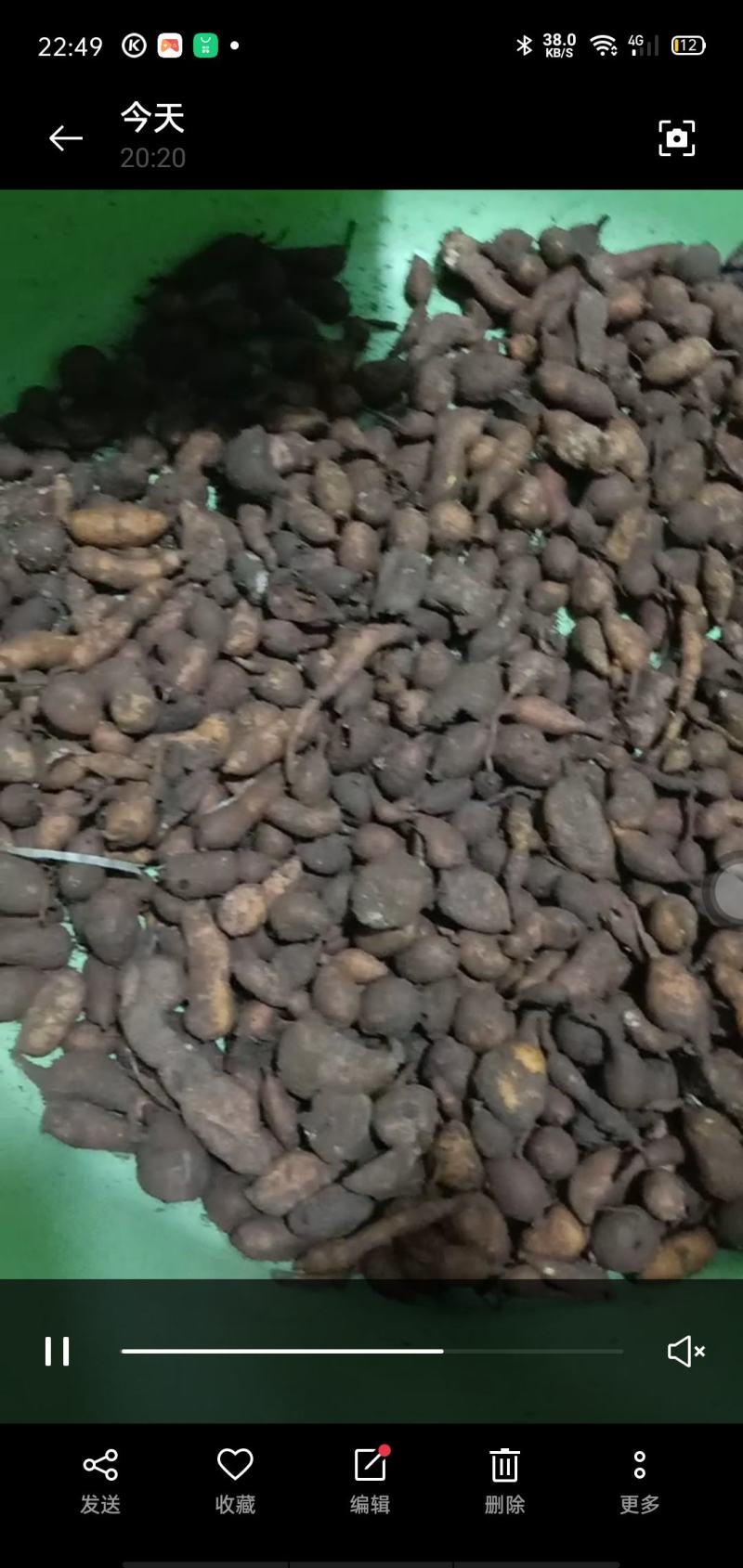 金果揽苗，地苦胆苗，块经