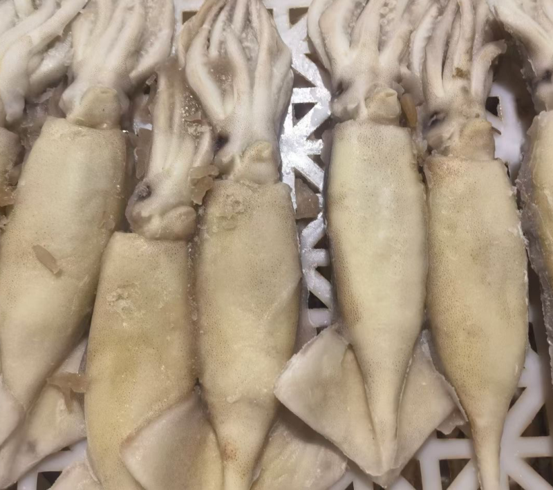 单冻鱿鱼