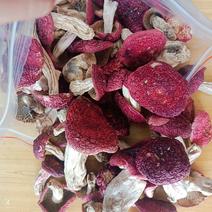 野生红菇，标菇，高山红菇
