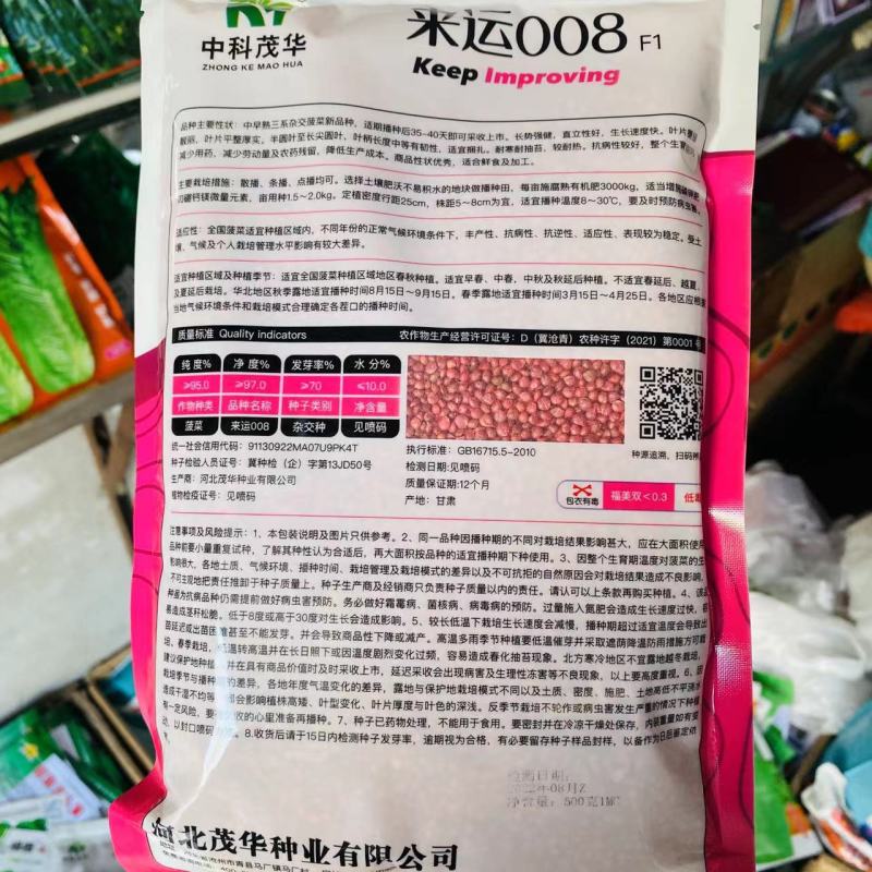 大叶菠菜种子四季蔬菜秋冬籽种阳台种籽耐热菜种盆栽波菜孑菜