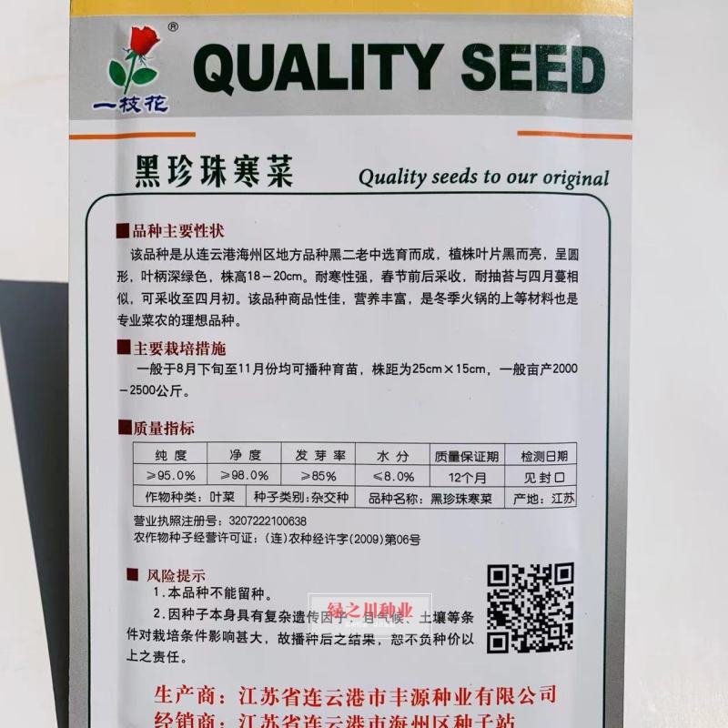 黑珍珠寒菜种子耐寒性强叶片黑而亮冬季菜黑心乌种子