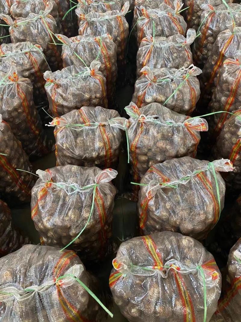 8520毛芋头种，大球，中球，小球货源充足，