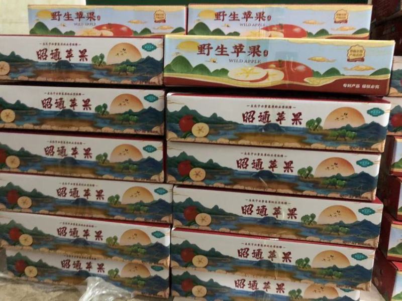 昭通苹果