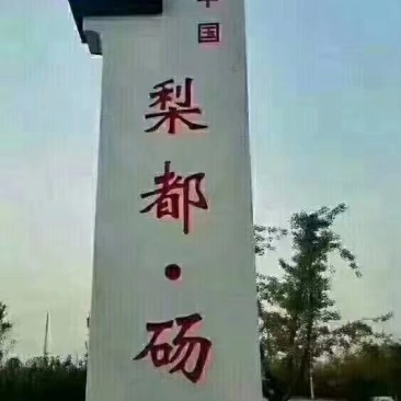 砀山酥梨