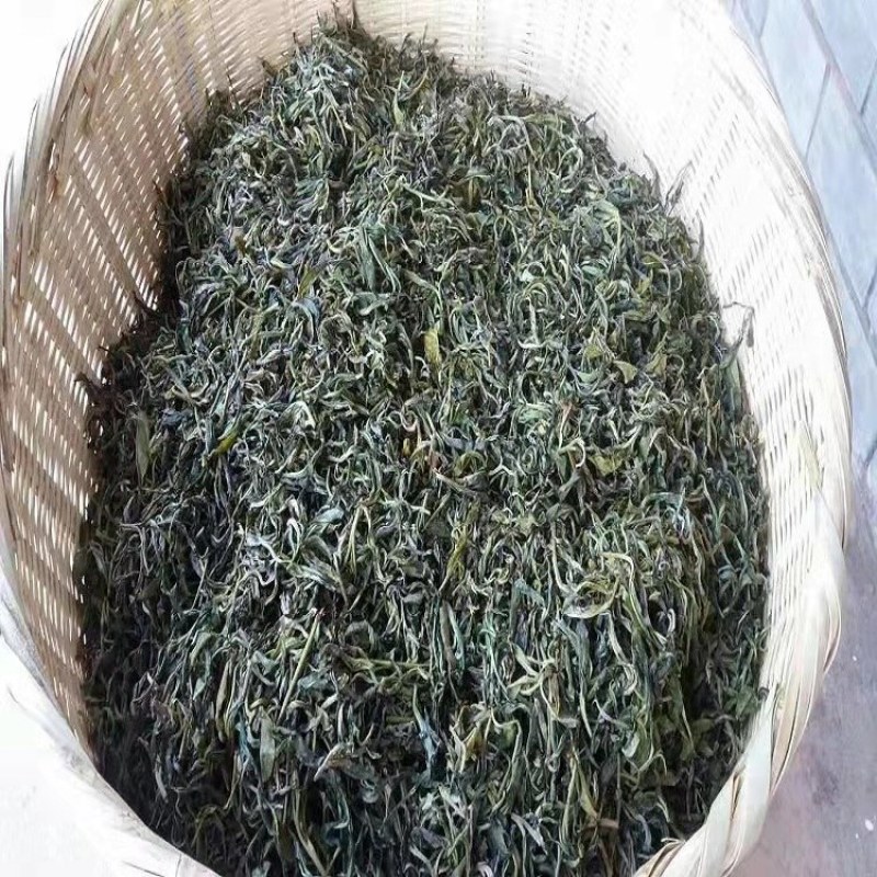 普洱茶、高山生态茶、春茶、树茶