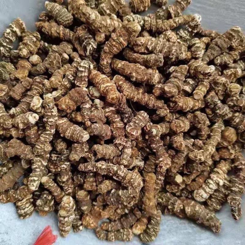 云南重楼七叶一枝花滇重楼中药材正品独角莲重楼片重楼粉