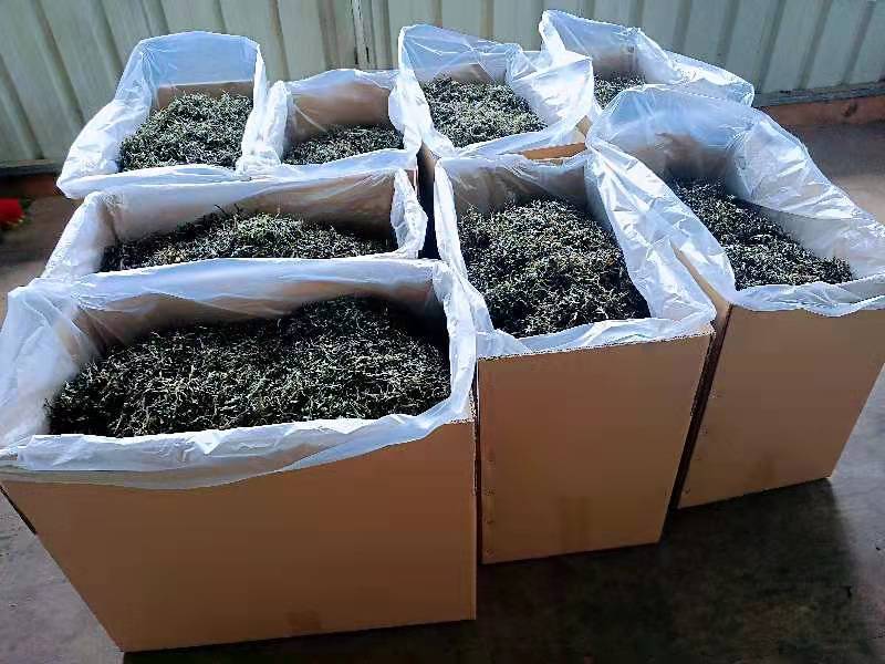 普洱茶、高山生态茶、春茶、树茶
