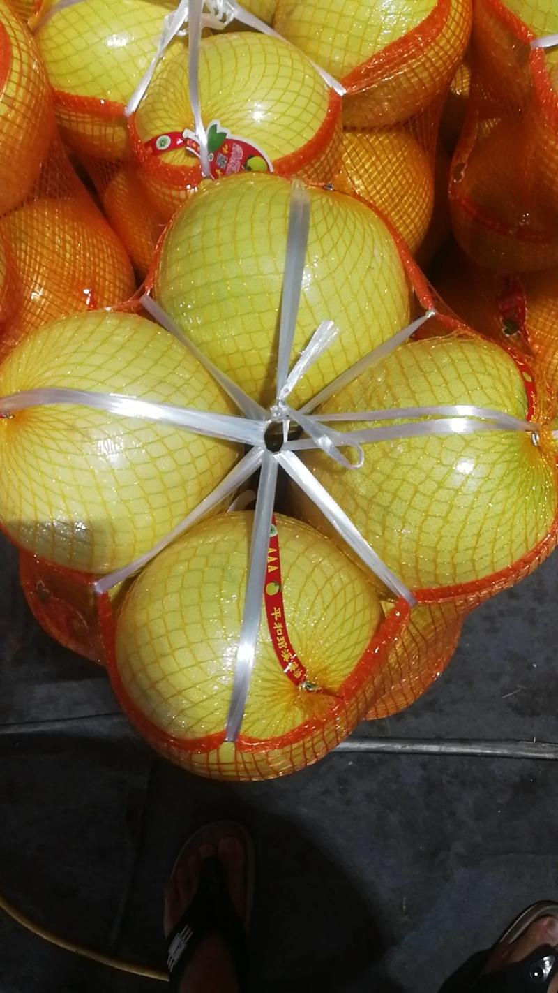 福建漳州平和蜜柚一手货源稳定对接各大市场社区商超