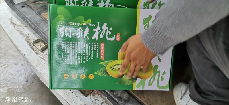猕猴桃优生区，眉县徐香猕猴桃
