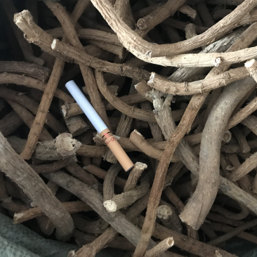 大量供应山豆根，山地干货，现货5吨，可大量供应！