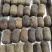 正毛化州橘红正毛化州纯正橘红胎果一公斤起包邮质量保证