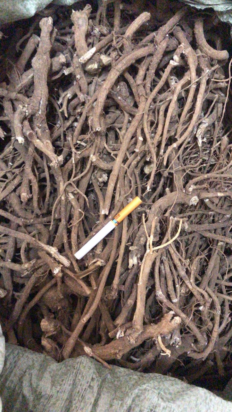 大量供应山豆根，山地干货，现货5吨，可大量供应！