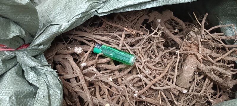 大量供应山豆根，山地干货，现货5吨，可大量供应！