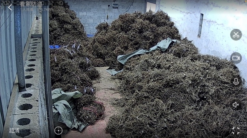 大量供应山豆根，山地干货，现货5吨，可大量供应！