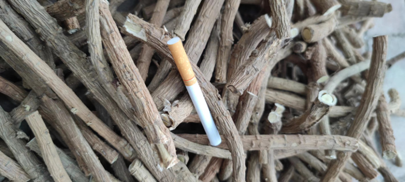 大量供应山豆根，山地干货，现货5吨，可大量供应！