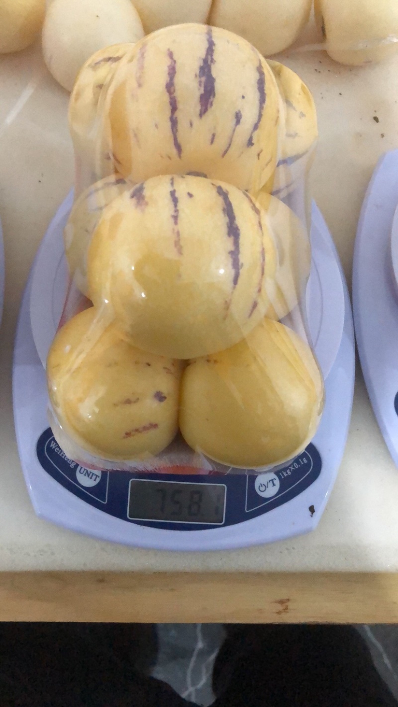 托盘
