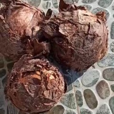 兴化龙香芋，舌尖上的美味，产地直供，需要的请联系我。
