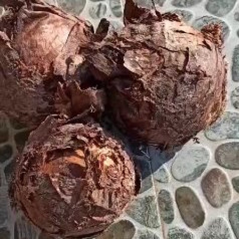 兴化龙香芋，舌尖上的美味，产地直供，需要的请联系我。