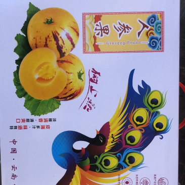 礼盒